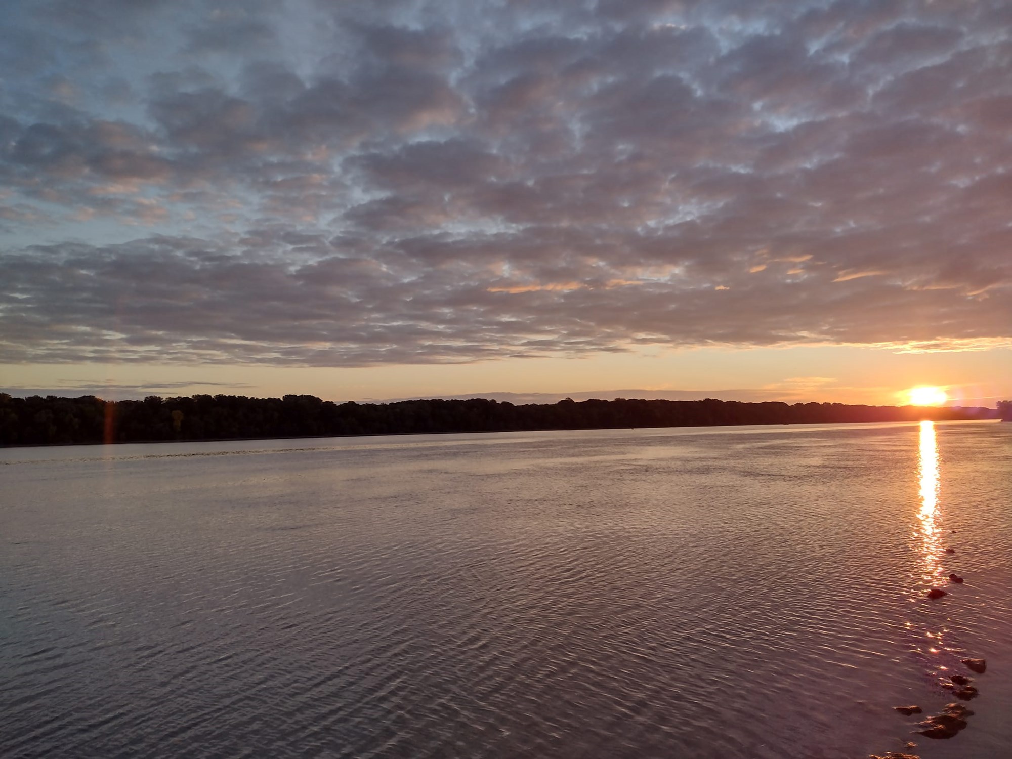 Dunare - canalul sf. Gheorghe - 2022 - 308801925102252039157796694729065864671790223n.jpg